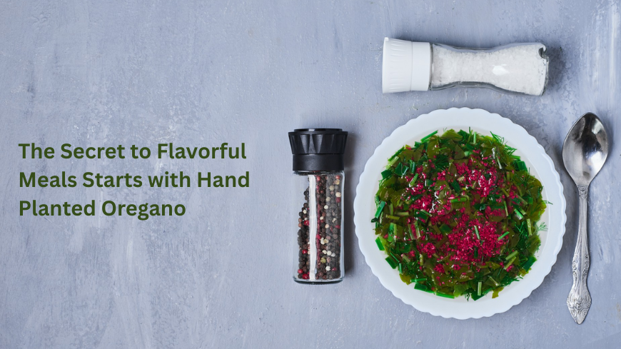 The Secret to Flavorful Meals Starts with Hand-Planted Oregano